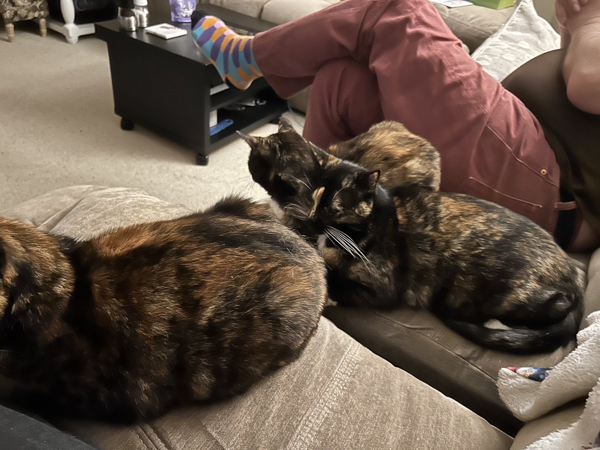 Lee Edwards tweet media