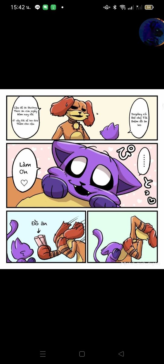 DOG DAY (@hnxyna94402) on Twitter photo 