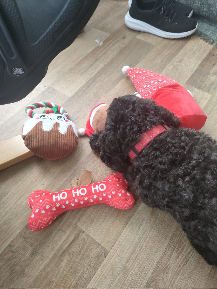 @Emjay88 tweet media