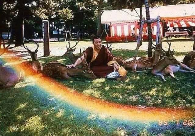 #karmapa #ayangrinpoche  #amitabha
