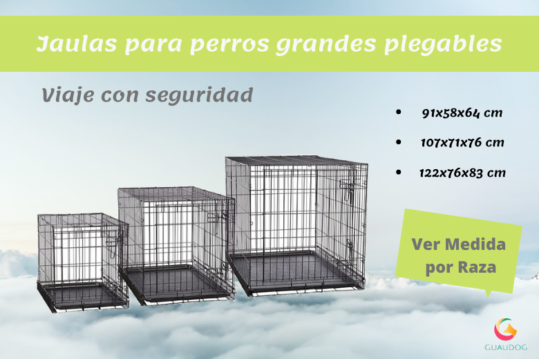 guaudogweb's tweet photo. 🚀Las Mejores【JAULAS par@ PERROS GRANDES PLEGABLES】🌍
Llega el verano y con ello la temporada de vacaciones es el momento de ir preparándose para viajar con seguridad en familia (incluida tu mascota).
✅¡ENTRA Y MEJORA LA VIDA DE TU PERRO!✅
https://t.co/M4aExO0dSH https://t.co/KRmbOkJLMT