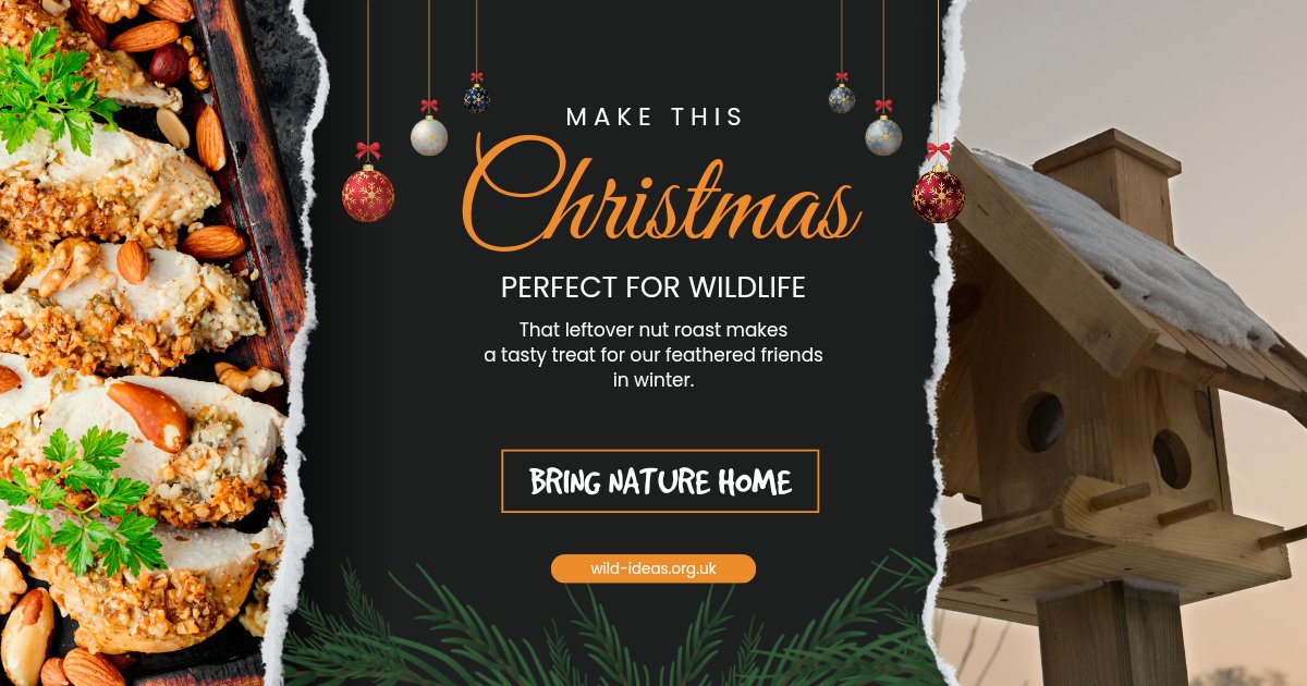 Wishing you all a wild Christmas #12dayswild