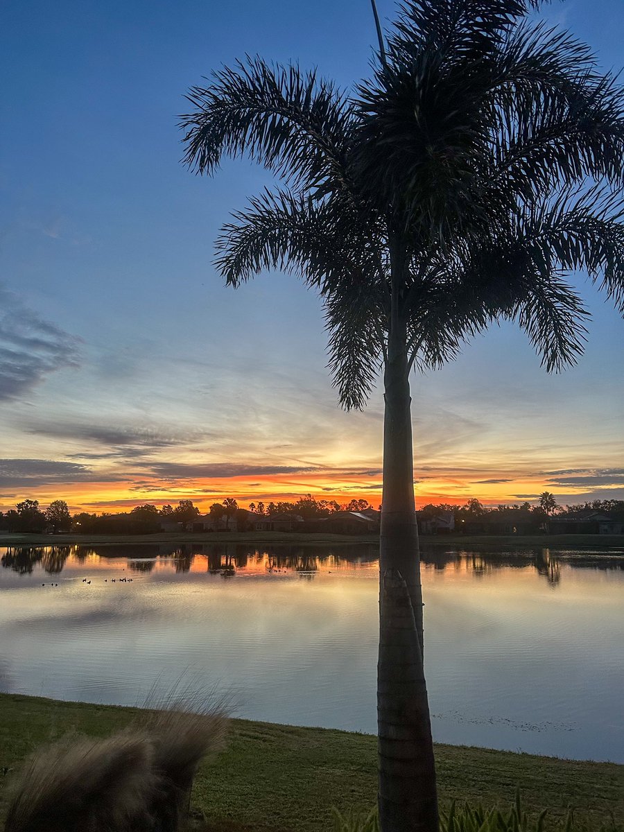 Christmas morning in Winter Garden, Florida. #flwx