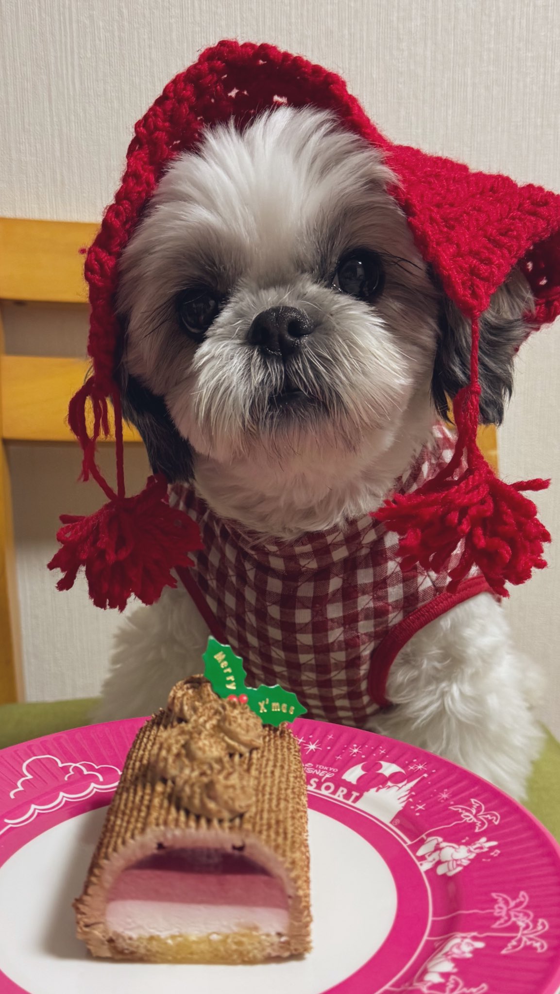 ふくふく【プロフご確認下さい】 Fukuske 福助 公式 ふふふなここち : 無地 カップ付き補正機能