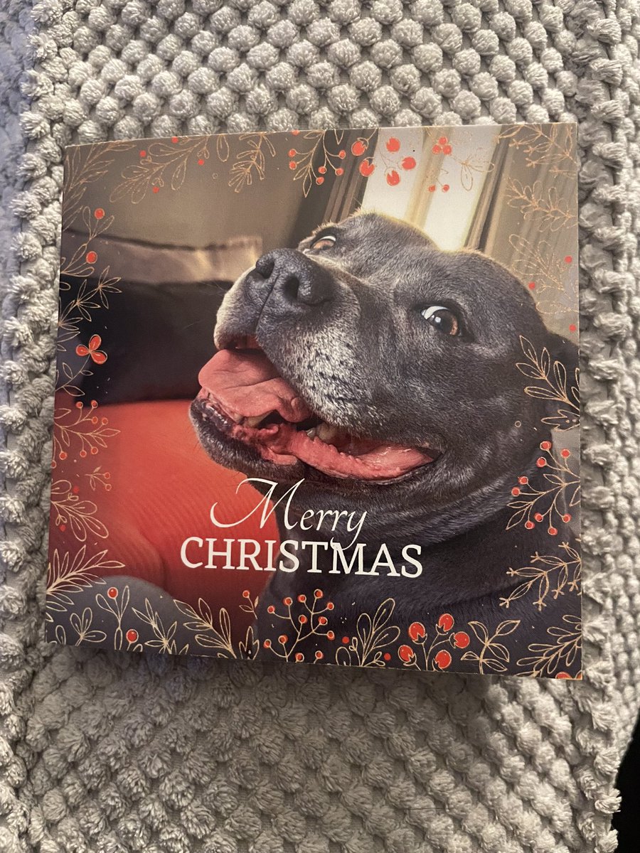 Wishing everyone I know and others a very Merry Christmas to you all and your Families❤️. I hope you all have a wonderful day. Ho Ho Ho 🎅🏻 #HugoMcLeod 🐕