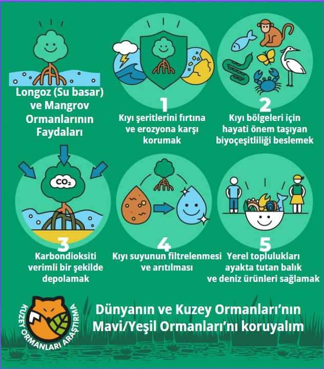 Kuzey Ormanları Savunması tweet media