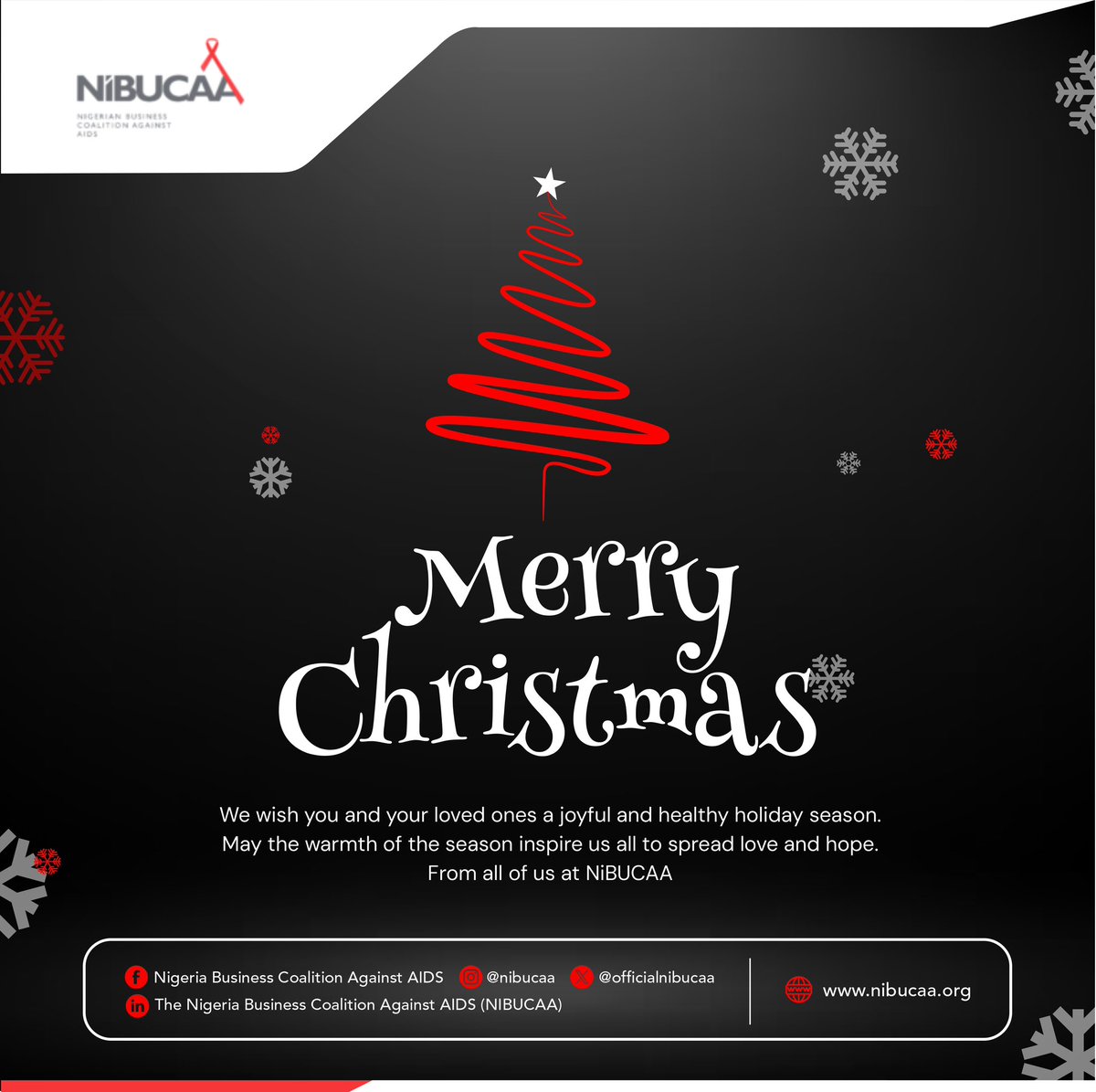 May this season bring you an abundance of love, joy, and peace. 
Wishing you a truly Merry Christmas  filled with endless blessings and happiness!

#merrychristmas #NIBUCAA