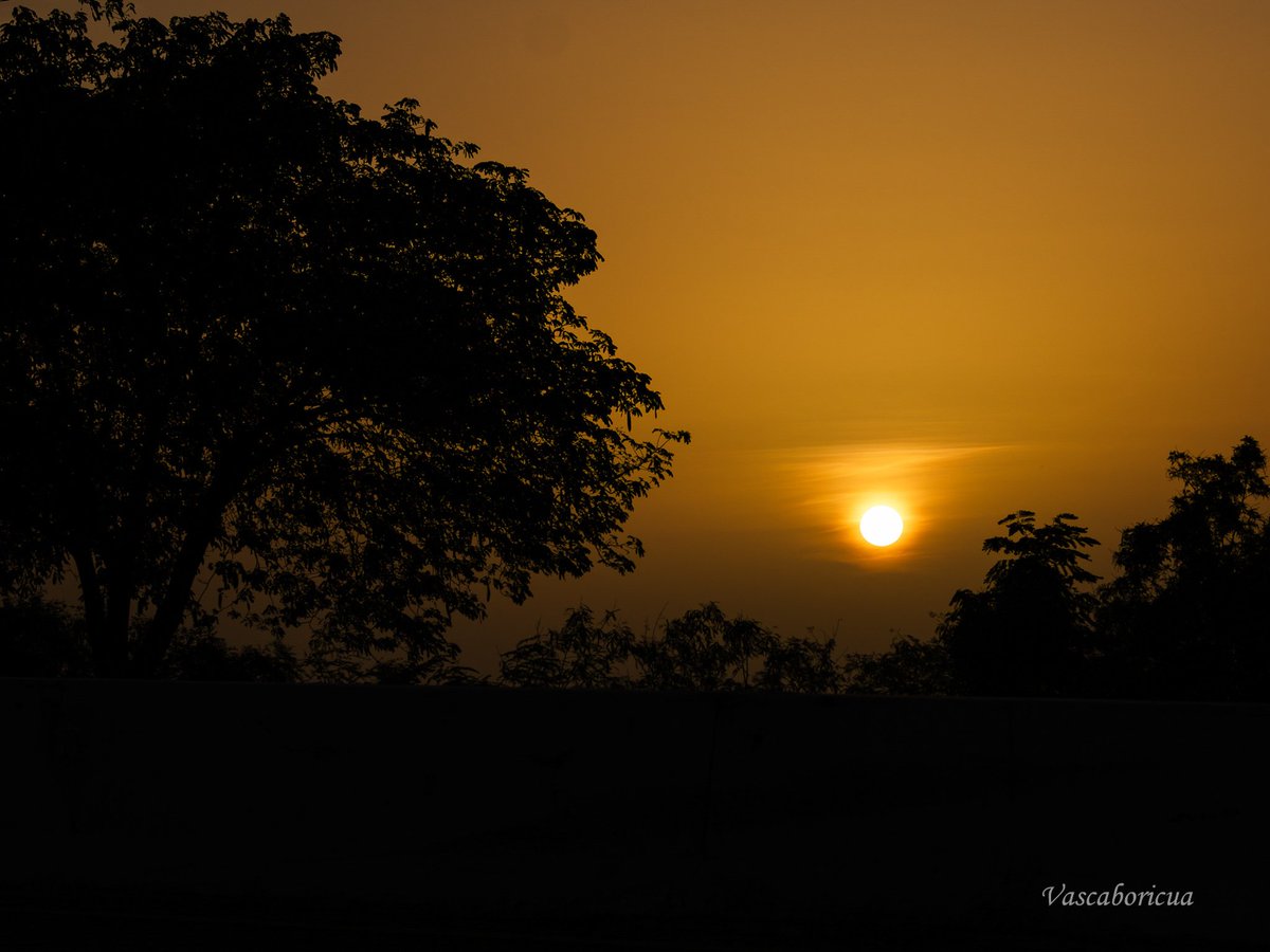 Aquí la Navidad 🌲
Siempre agradecida por que cada uno de ustedes me reciba en su hogar, que es su corazón, a través de mis fotos y sepan que de mis mayores deseos es que puedan disfrutar esta Navidad, todos los días, en conexión con nuestra Madre  ¡Protegerla, cuidarla!
📍Ponce