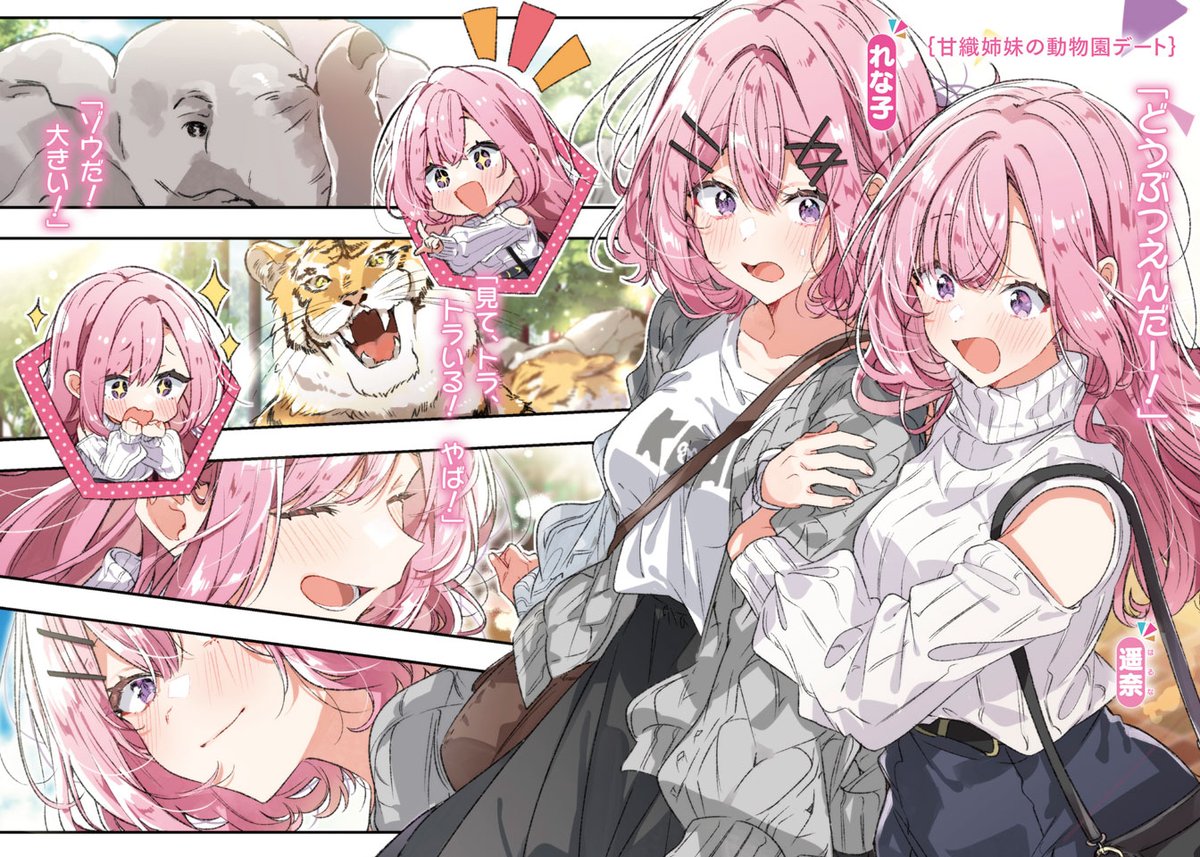 わたなれ 7巻本日発売🐨／ 祝・25年夏TVアニメ化決定👑 そして、れな子