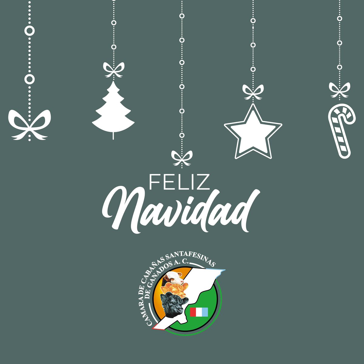 Les deseamos una Navidad llena de paz y mucha felicidad. 🎄
💫Agradecemos por tu apoyo y confianza durante todo este año.