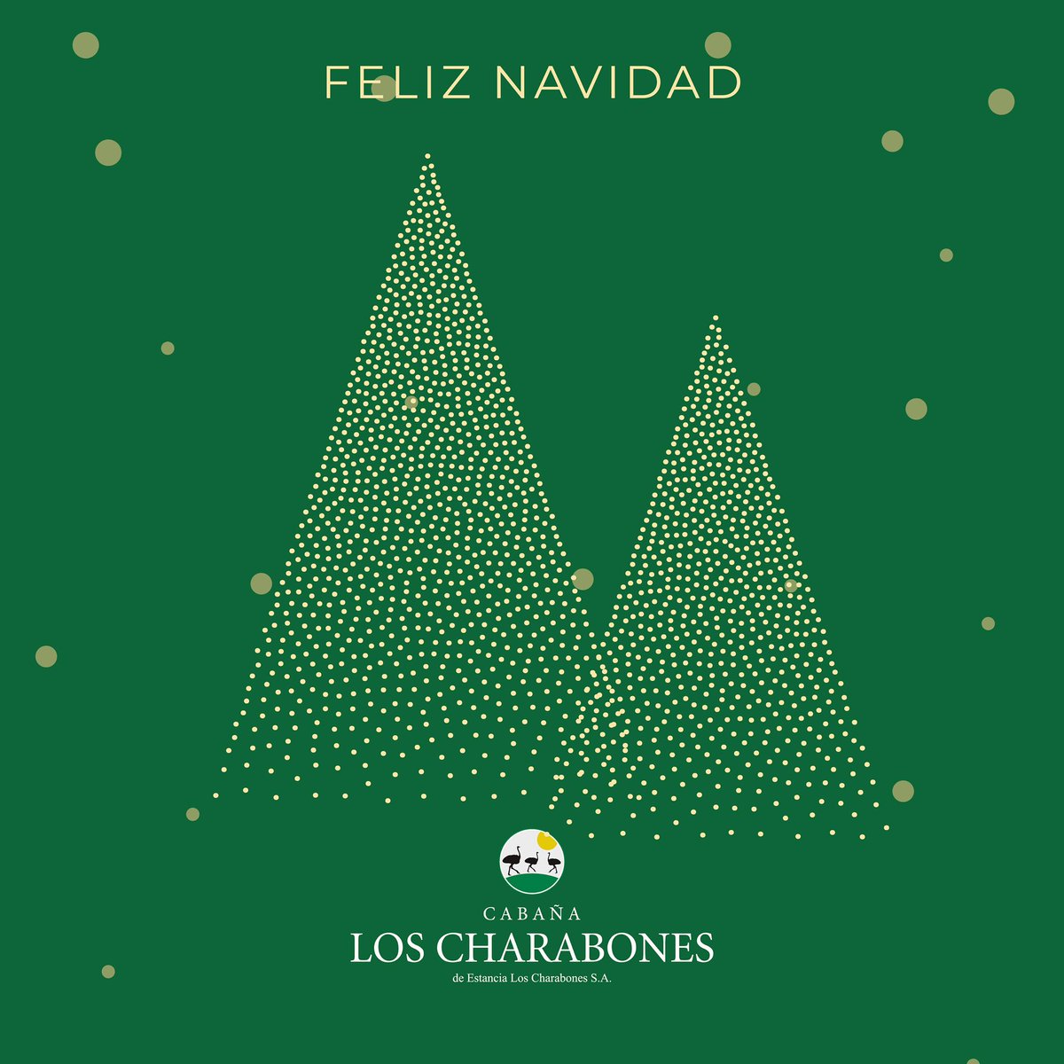 💫Deseamos que la magia de la Navidad traiga salud, trabajo y alegría y encienda un año nuevo lleno de esperanzas.
¡FELIZ NAVIDAD! 🎄

#navidad2024 #Feliznavidad #brafordargentina #geneticabovina #genetica