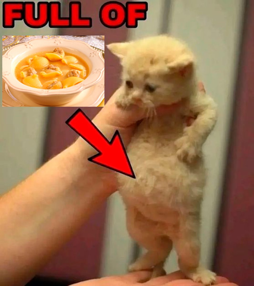 toi toi (@elpolyklin) on Twitter photo 