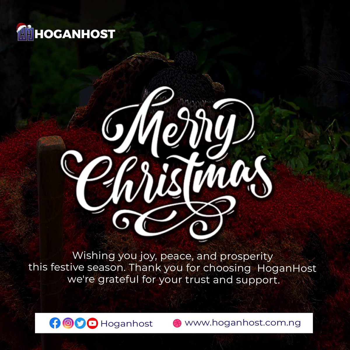 hoganhost tweet media