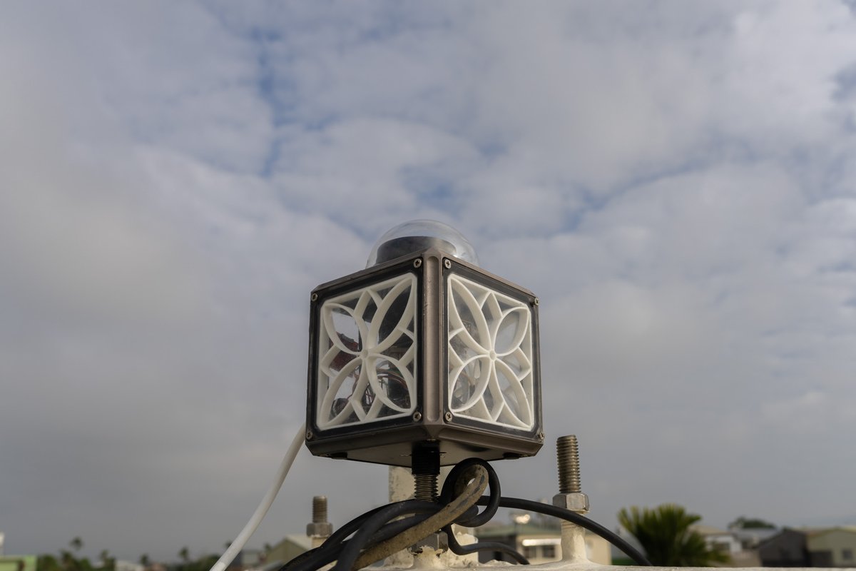 will whang🌻 tweet media