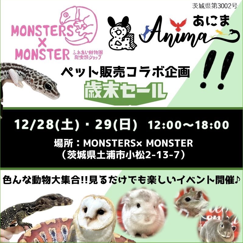 茨城県阿見町＊ふれあい動物園あにま tweet media