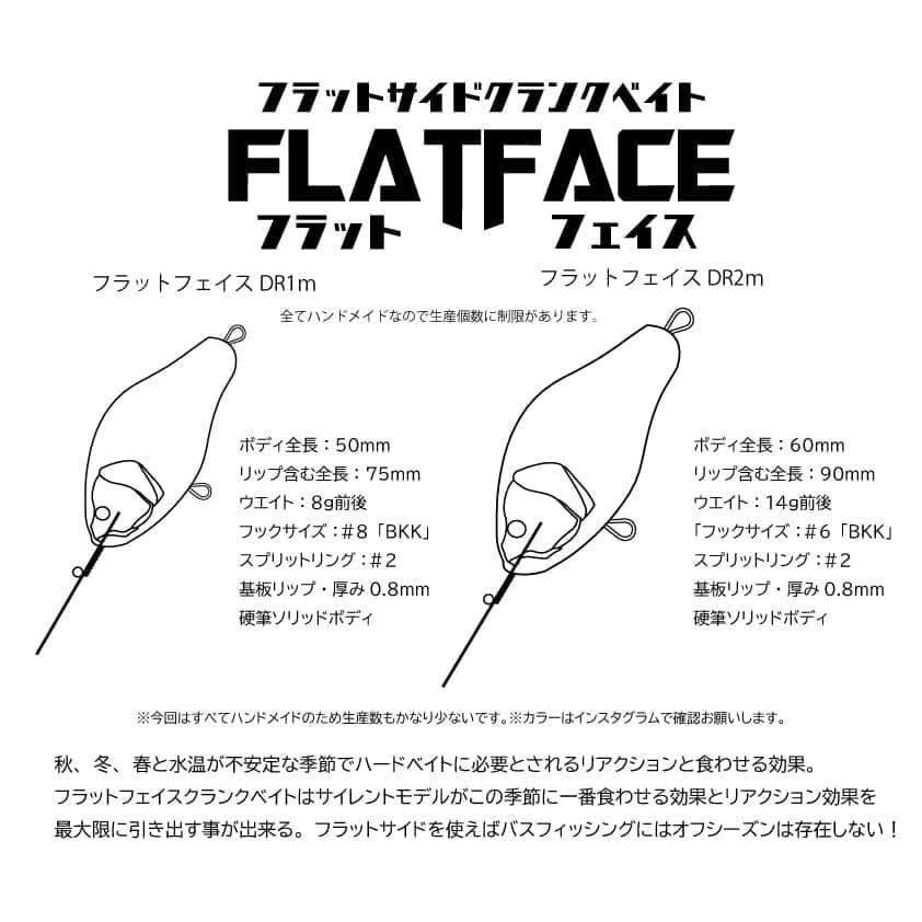 9GXWyceTYPfvBx4's tweet photo. 着弾‼️

琵琶湖の巨匠から
#dreamexpresslures
FLAT FACE
DR1m   烏丸内湖カラー
DR2m  赤野井真珠棚カラー
にカラーリング✨✨✨
DR3mも✨

庄司さん
クリスマスプレゼント
ありがとう
ございマス
m(_ _)m https://t.co/sEL1HZbc3D