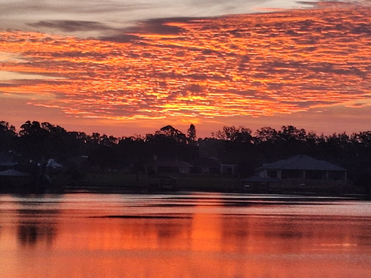 AWendkosJackson's tweet photo. Merry Christmas and Happy Chanukah from Florida! https://t.co/U9nihs7cdC
