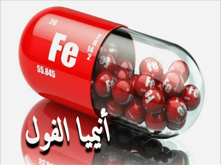 Shalianho's tweet photo. أنيميا الفول، المعروفة أيضًا بالتفول أو نقص إنزيم G6PD، هي اضطراب وراثي ينتج عن نقص في إنزيم الجلوكوز-6-فوسفات ديهيدروجيناز (G6PD). هذا الإنزيم ضروري لحماية خلايا الدم الحمراء من الأكسدة والتلف. في حالة نقصه، تصبح الخلايا الحمراء أكثر عرضة للتكسر، مما يؤدي إلى فقر الدم الانحلالي.

أسباب أنيميا الفول:
يعود السبب الرئيسي لأنيميا الفول إلى طفرة جينية تؤدي إلى نقص أو غياب إنزيم G6PD. هذا الاضطراب ينتقل وراثيًا، ويظهر بشكل أكبر لدى الذكور مقارنة بالإناث. يُعتبر هذا المرض أكثر شيوعًا في مناطق مثل أفريقيا وحوض البحر الأبيض المتوسط والشرق الأوسط.

أعراض أنيميا الفول:
تظهر الأعراض عادةً عند التعرض لمحفزات تؤدي إلى تكسر خلايا الدم الحمراء، وتشمل:
•شحوب البشرة: نتيجة لنقص خلايا الدم الحمراء.
•تسارع ضربات القلب: بسبب محاولة الجسم تعويض نقص الأكسجين.
•ضيق التنفس: نتيجة لنقص الأكسجين في الأنسجة.
•البول الداكن: بسبب زيادة نسبة الهيموغلوبين المتكسر في الدم.
•الدوخة والإعياء: نتيجة لنقص الأكسجين والطاقة.
•اليرقان: اصفرار الجلد والعينين بسبب تراكم البيليروبين.

المحفزات التي تؤدي إلى ظهور الأعراض:
تتسبب بعض العوامل في تحفيز تكسر خلايا الدم الحمراء لدى المصابين بأنيميا الفول، منها:
•تناول البقوليات: مثل الفول والحمص.
•بعض الأدوية: مثل بعض المضادات الحيوية ومسكنات الألم.
•التهابات معينة: التي تزيد من الإجهاد التأكسدي على الخلايا.

التشخيص:
يتم تشخيص أنيميا الفول من خلال:
•الفحص السريري: لملاحظة الأعراض والعلامات.
•الاختبارات المخبرية: مثل قياس نشاط إنزيم G6PD في الدم.

العلاج والوقاية:
لا يوجد علاج نهائي لأنيميا الفول، ولكن يمكن التحكم في الأعراض من خلال:
•تجنب المحفزات: مثل الامتناع عن تناول البقوليات وتجنب الأدوية المحظورة.
•معالجة الأعراض: في حالات التكسر الشديد، قد يحتاج المريض إلى نقل دم.
•التوعية: من المهم توعية المرضى وعائلاتهم حول المرض وكيفية التعامل معه.

أنيميا الفول هي حالة وراثية تتطلب الوعي والتعامل الحذر لتجنب المحفزات التي قد تؤدي إلى تكسر خلايا الدم الحمراء. من خلال التوعية والتجنب المناسب للمحفزات، يمكن للمصابين بأنيميا الفول العيش حياة طبيعية