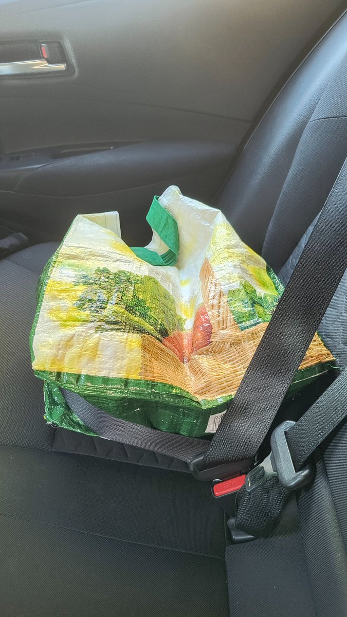 Llevando La Comida del día D con más seguridad que si llevara al Manglione