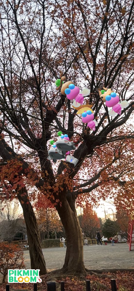 もみじがきれいにグラデーションになってました
#ピクミンブルーム