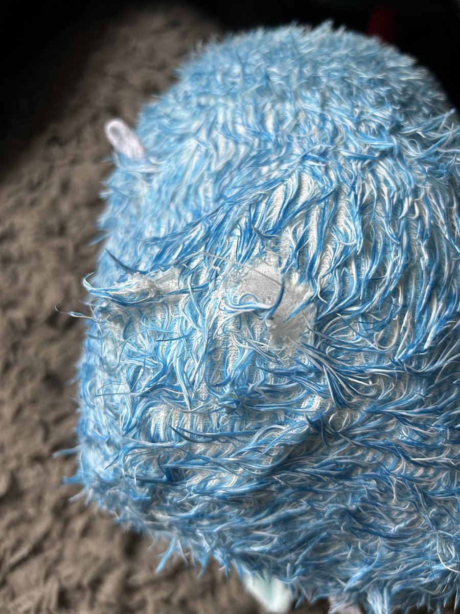 MaxRpd's tweet photo. So I might have been retired a little while, but still know how to do the Biting thing… look at my new @KONGCompany comfort Hedgehug that Santa brought me this morning https://t.co/OHtvBK2HJc