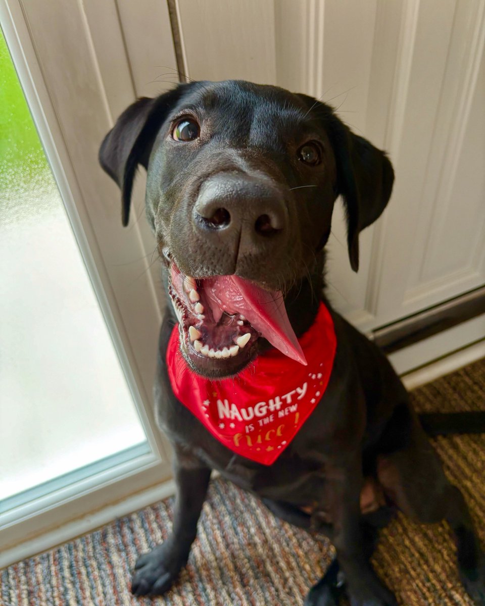 brooke 🪩 tweet media