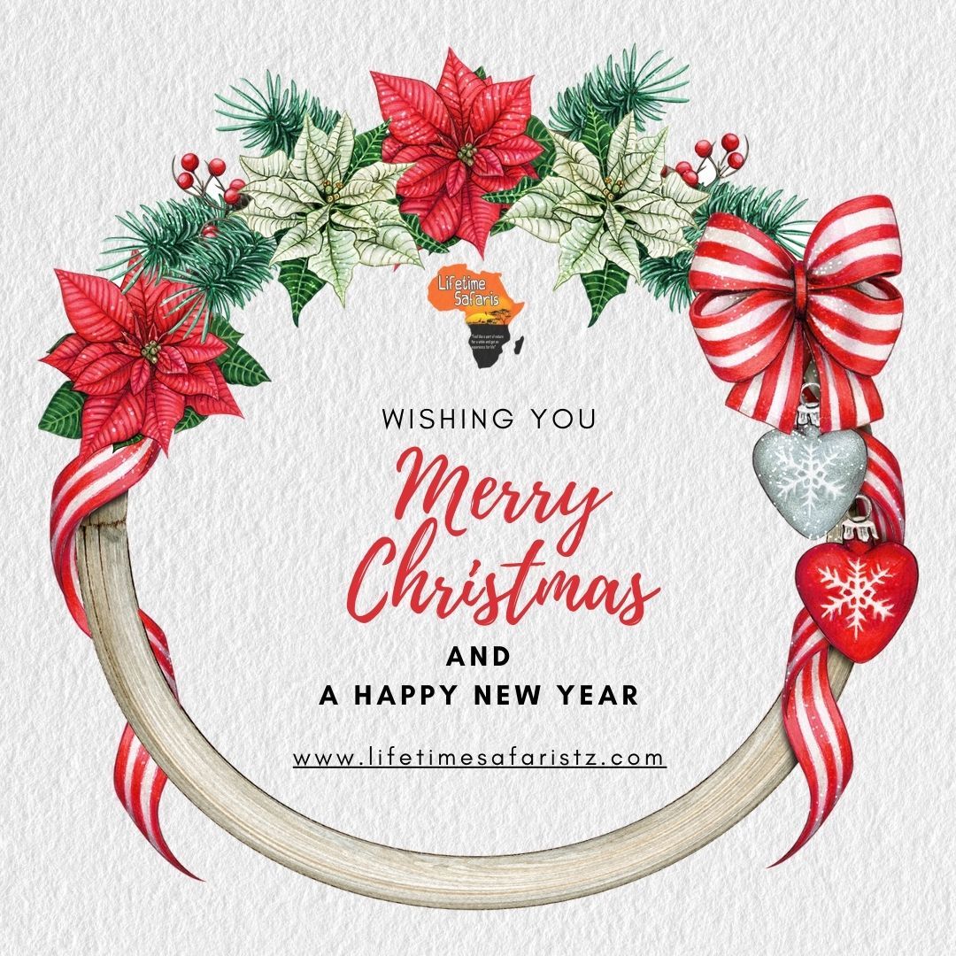 Lifetime Safaris wishes our valued customers a joyful holiday season! We deeply appreciate your support this year and hope your Christmas is filled with love and cherished moments. As we look to 2024, we’re excited for more unforgettable adventures together in 2025.