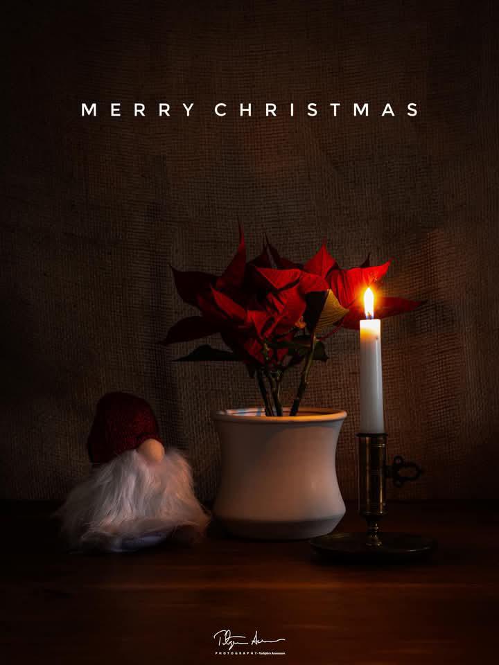 Divarella (@_divarella) on Twitter photo Season Greetings ๐โจ Season Greetings ๐โจ
