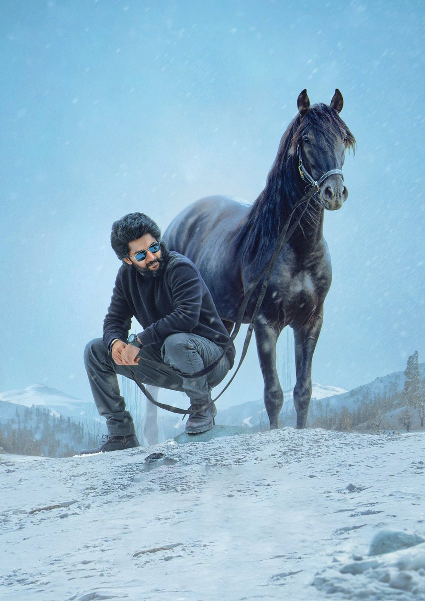 HIT3Movie's tweet photo. Paint the streets red and celebrate the festival 🎄🎁

Come next summer, they are going to be bloody red ❤️‍🔥🔥

Team #HIT3 wishes everyone a Happy X'MASS' 🎅

#HIT : The Third Case in cinemas worldwide on 1st MAY, 2025.

Natural Star @NameisNani  @KolanuSailesh @SrinidhiShetty7 https://t.co/512g7BfXFf