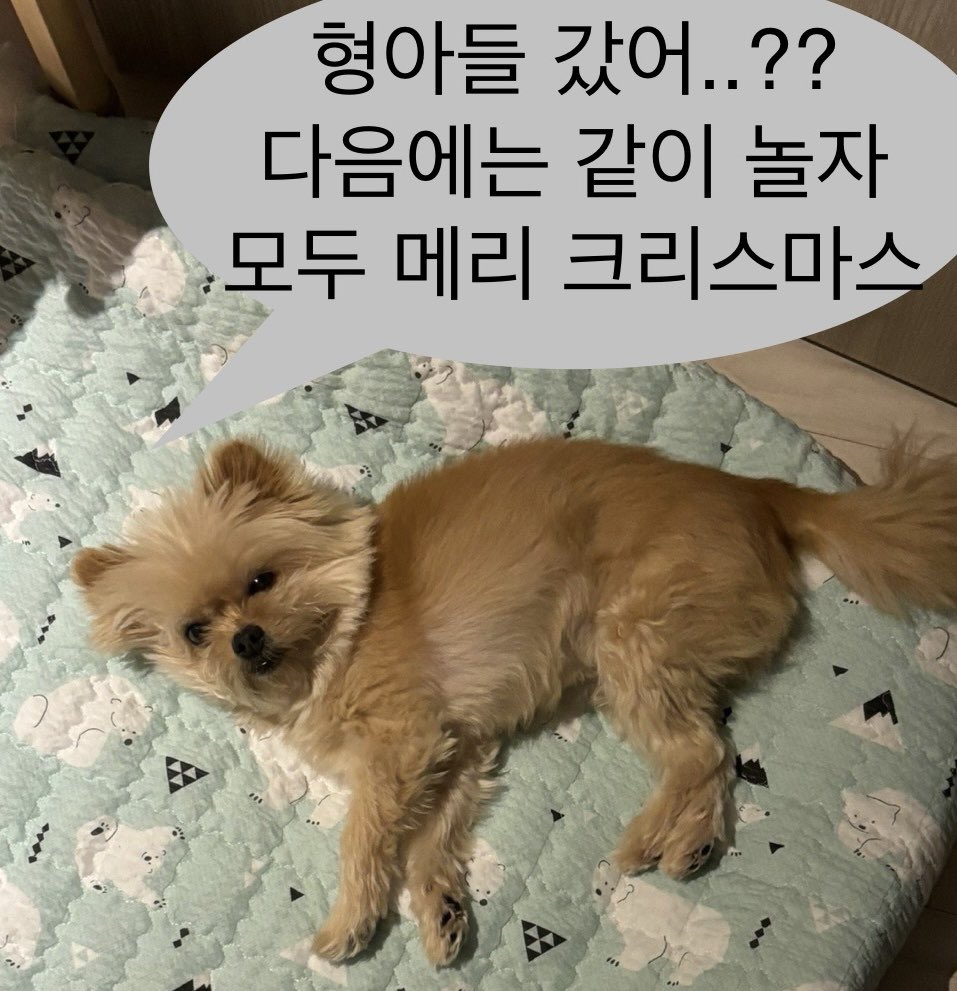 ATBO_members's tweet photo. 진짜 마지막 선물!!!🎁🎁
#ATBO #원빈 #WonBin #탄이 https://t.co/zBMrJfkMsL