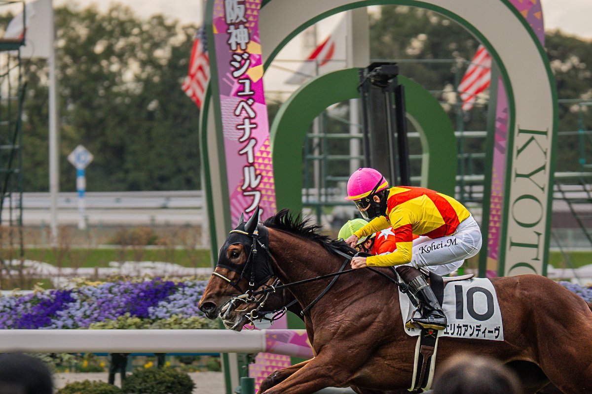 masaSPC's tweet photo. 🐴#エリカアンディーヴ
🏇#松山弘平
2024/12/08/2歳新馬 https://t.co/agf3KIAtCf