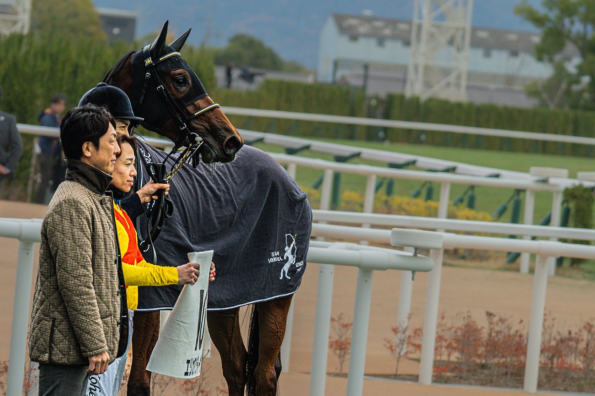 masaSPC's tweet photo. 🐴#エリカアンディーヴ
🏇#松山弘平
2024/12/08/2歳新馬 https://t.co/agf3KIAtCf