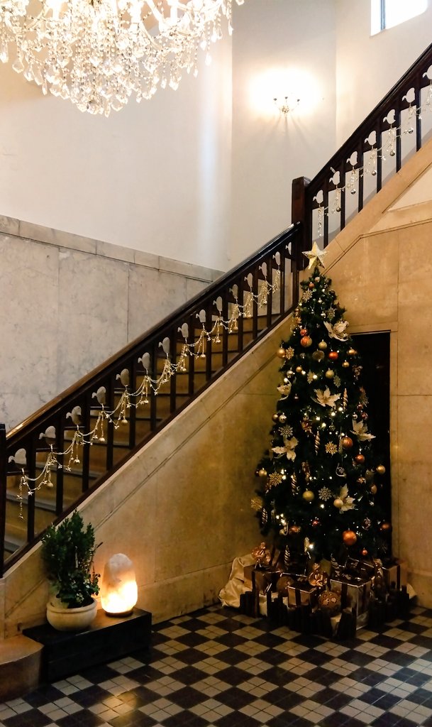 CareerLab_'s tweet photo. こんばんは🎄
久しぶりに大好きな農林会館にお邪魔するとクリスマス仕様になっていました💛
ちょっと癒されたので✨
#MerryChristmas
#発酵文化研究所
#腸活サポート
#CareerLab https://t.co/uNrwI9ishp