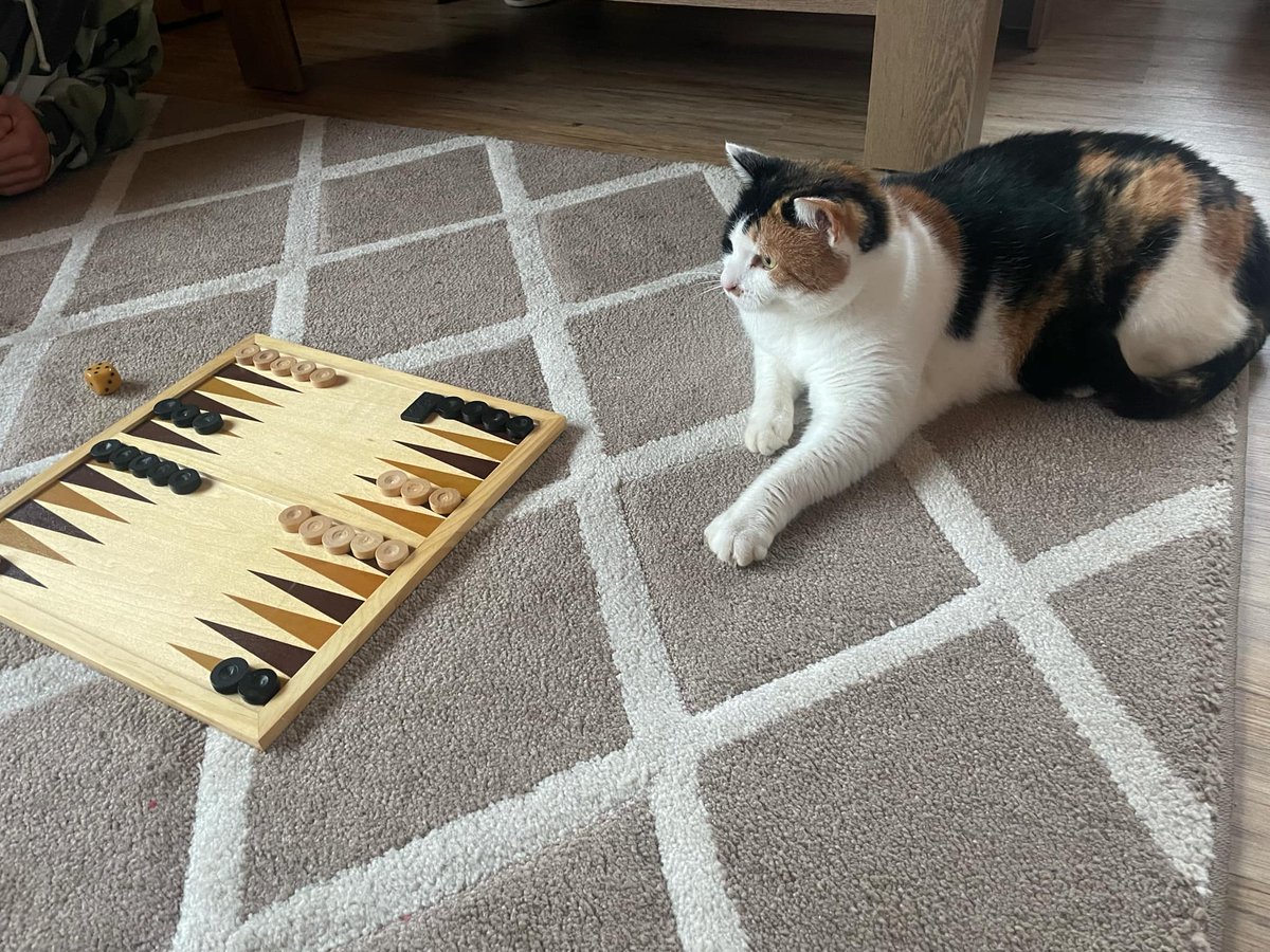 já: proč jsem tak dobrej ve vrhcábech?

můj average oponent: