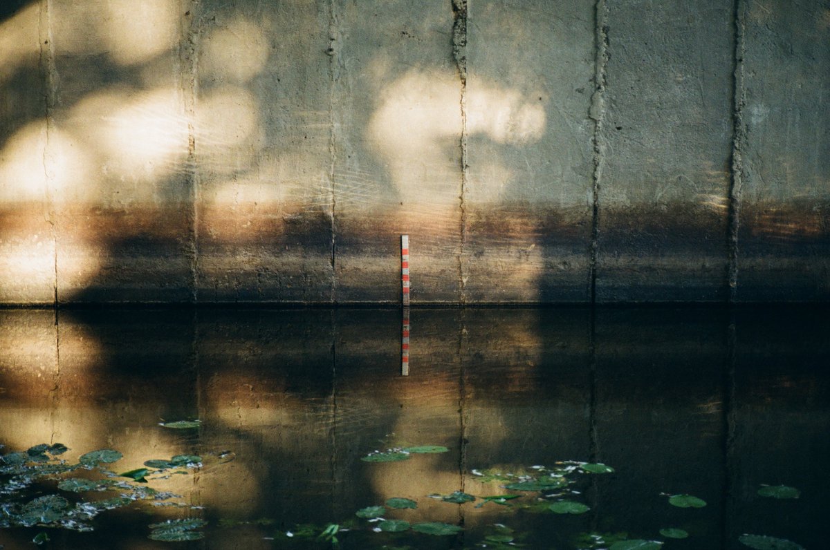 my favorite film photos from this year