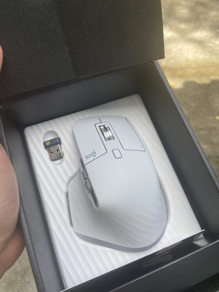 Lucca Pinho tweet media