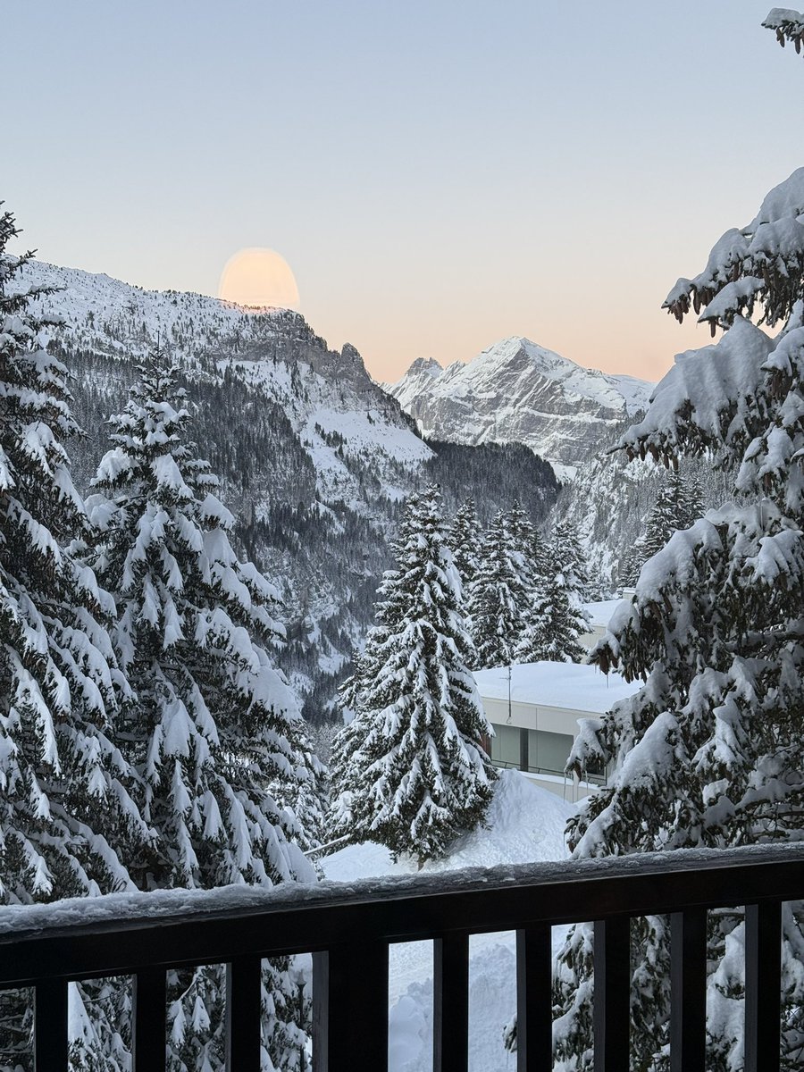 barrywin1965 - Bazza Bear 🐻 tweet media