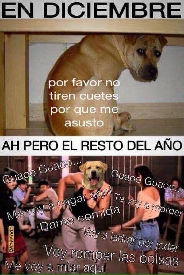 TomateLepanto's tweet photo. @Poliorcetes @josguerrero7 Tiene razón don Juan Luis pero... https://t.co/Y7Qw6Hx6WL