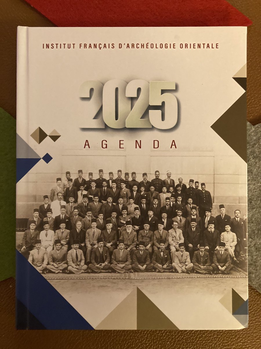 Manon Y. Schutz tweet media