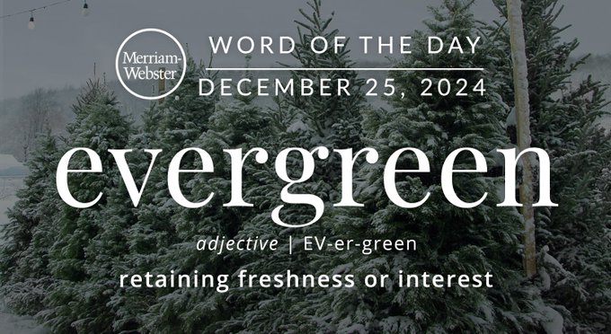 Merriam-Webster Word of the Day December 25, 2024 'evergreen' adjective | Ev-er-green "retaining freshness or interest" Background Image: evergreen trees 