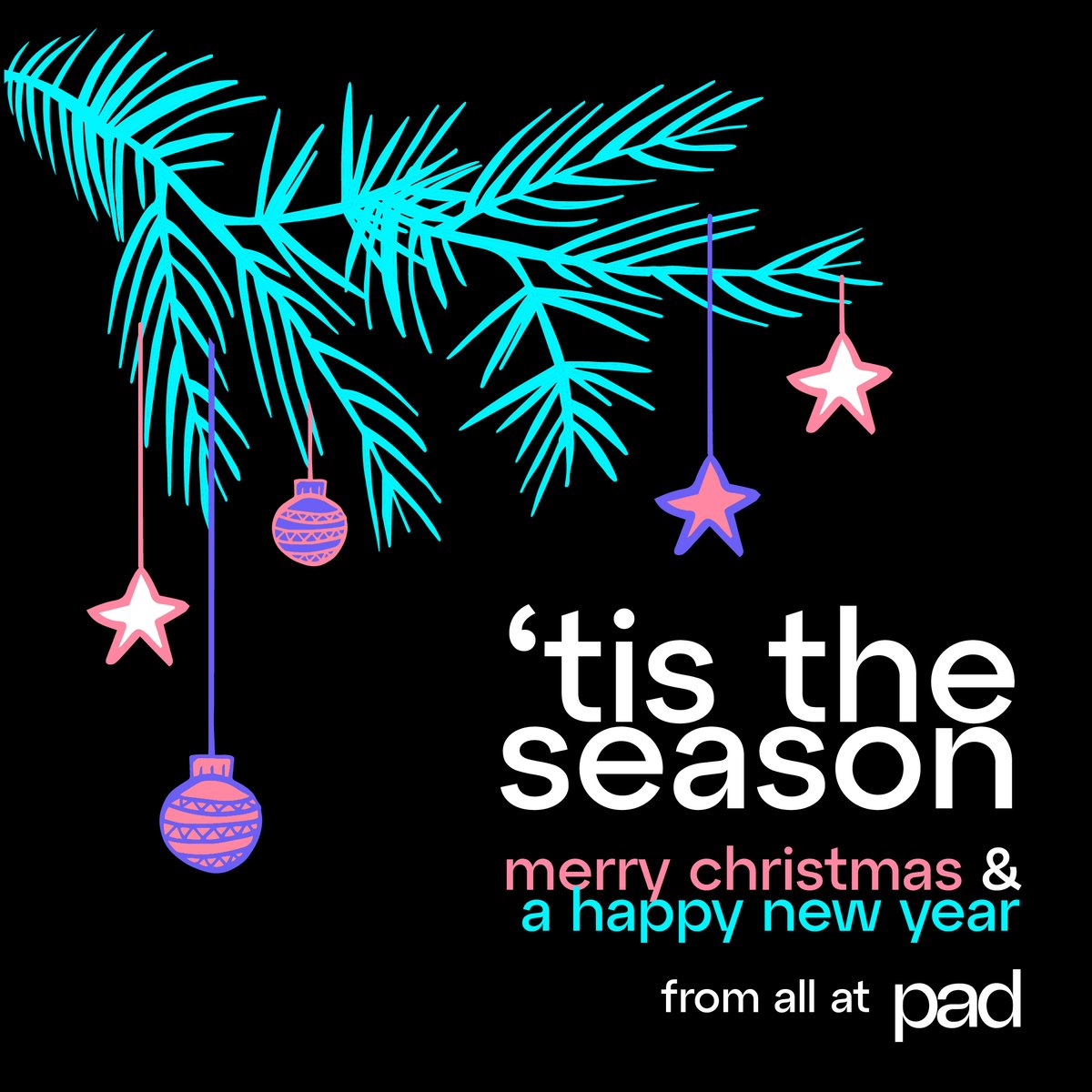 padcreative's tweet photo. 🎄 ✨ Merry Christmas from pad! ✨ 🎄
We want to thank you — our incredible community, clients, and partners — for making this year truly special. 🌟
Here's to creating even more magic together in the coming year! https://t.co/YzSwTSFv6I