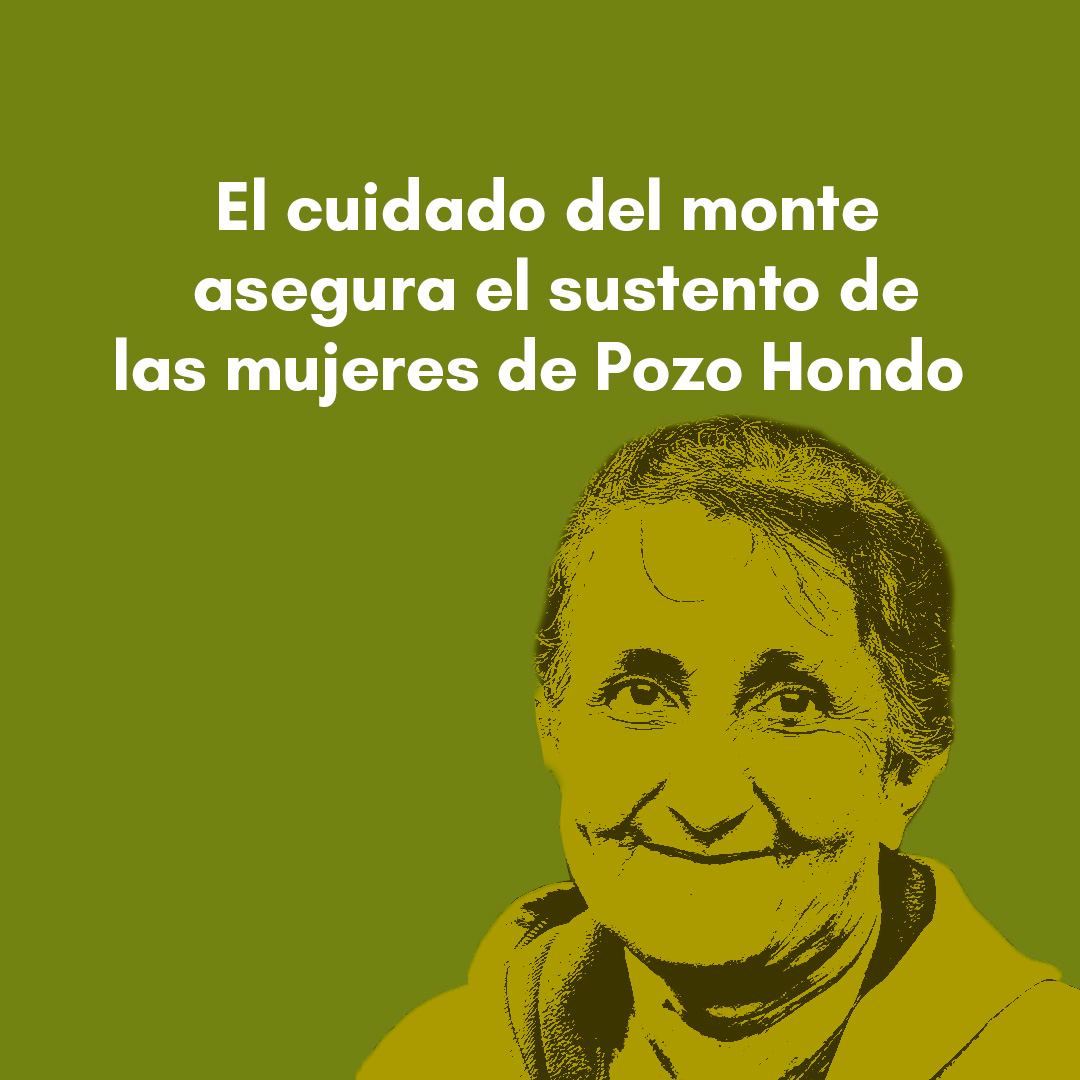 Grupo Sunu tweet media