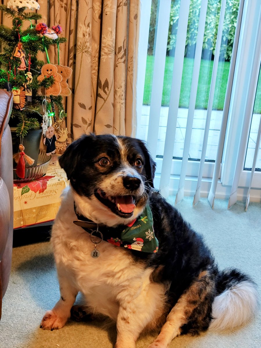 🌈🙏 Reverend Canon Catherine D Binns tweet media