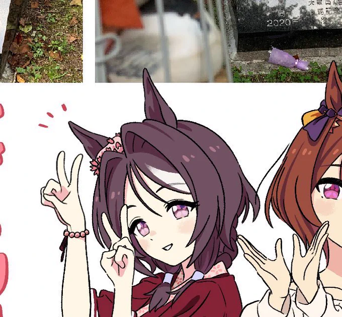 アニメシンデレラグレイ→オグリキャップが眠る、オグリキャップの情報がこれでもかと詰まった記念館の紹介サクラチトセオーの公式画像公開→最速でサクラチトセオーの神イラストと情報掲載今年の冬コミの新刊レポ本、隙はなしです!!!!(yagineさんありがとうございます!) #ぱかライブTV 
