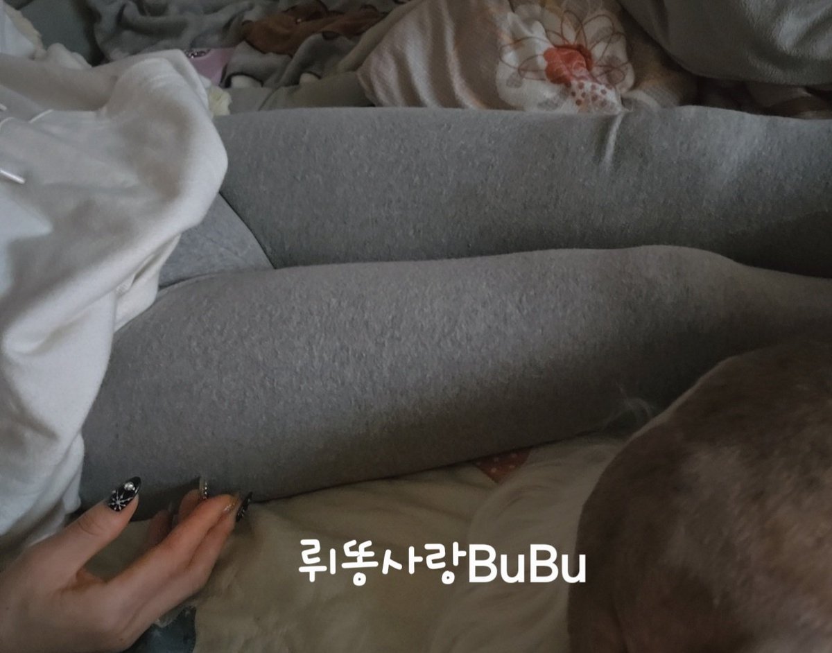 여보 레깅스가 좀 야한듯 하오 ㅋ
메리 크리스마스^^