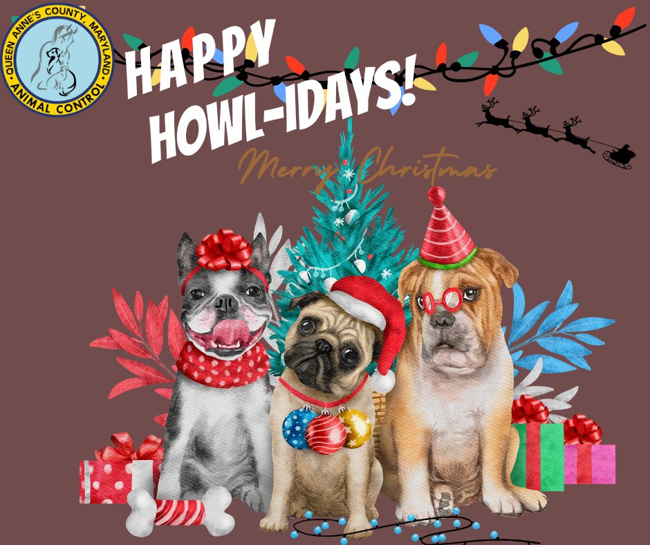 QACDES's tweet image. #MerryChristmas #HolidayPets #ChristmasWithPets #PetFriendlyHolidays