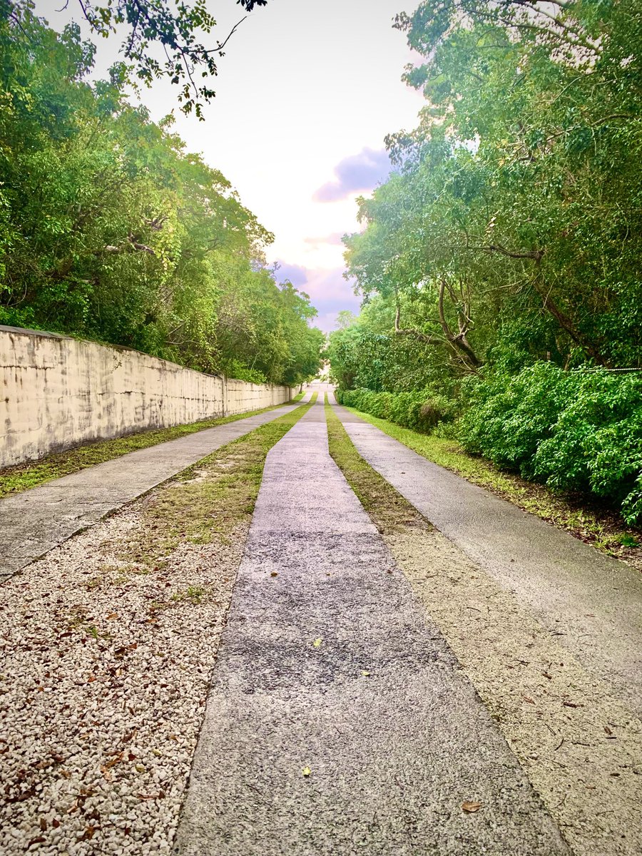 Sammy Flores tweet media