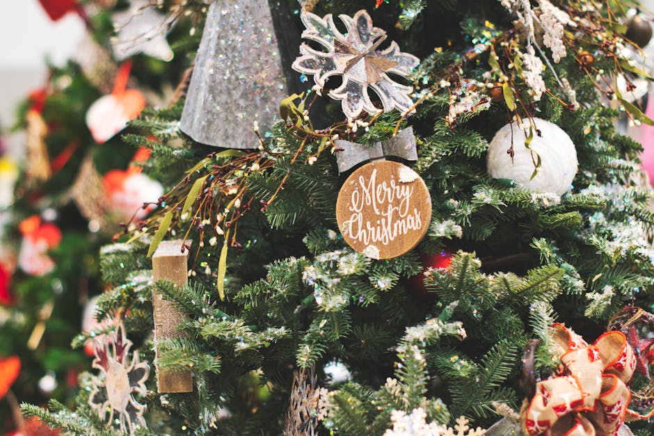 Merry Christmas from all of us at Pacific Dermatology Institute! We are filled with joy and gratitude this holiday season as we celebrate with our amazing community. Thank you for being part of our journey—here’s to healthy skin and happy days ahead! #MerryChristmas #PacificDe...