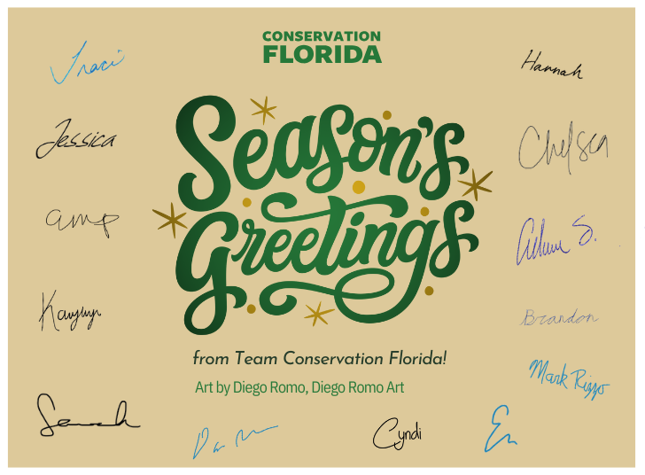 Picture this: You’re walking down a vibrant trail this Christmas morning, sunlight filtering through the towering oaks. It's warm on your skin. You hear a faint call in the distance &amp; get goosebumps.

It’s that feeling we all know &amp; love: the magic of wild Florida.

A true gift💚