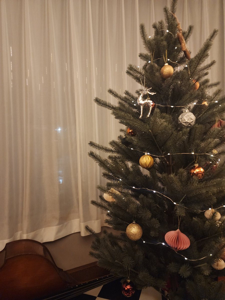 来年も良い1年にします！
メリークリスマス